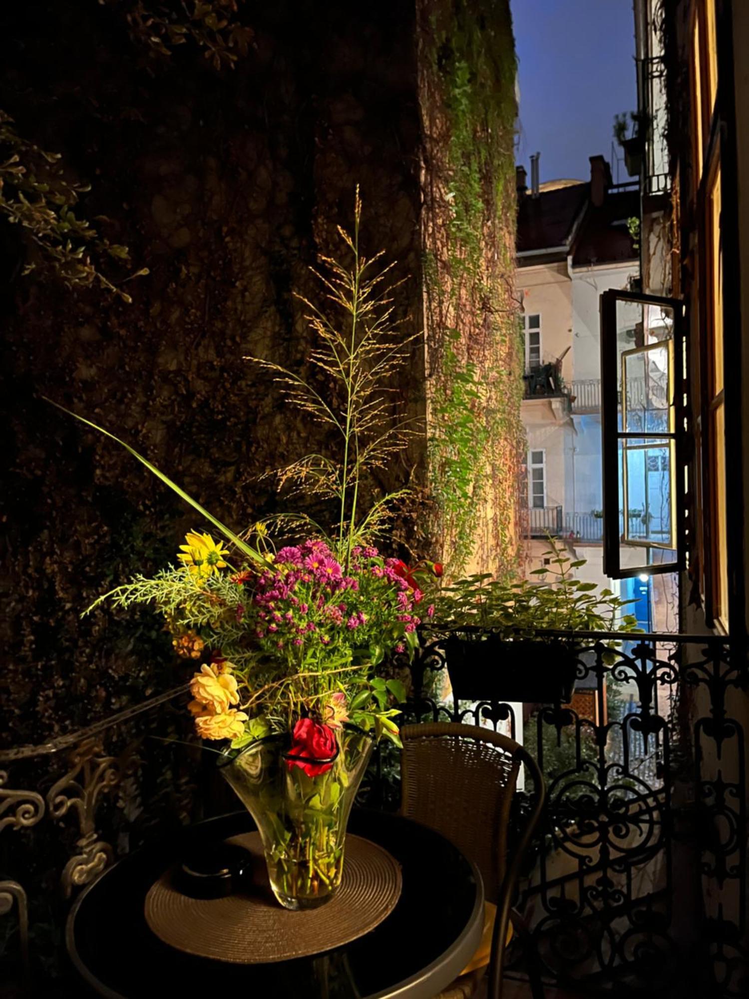 Pyvo Street Home With Balcony Near The Danube — Fotók 2